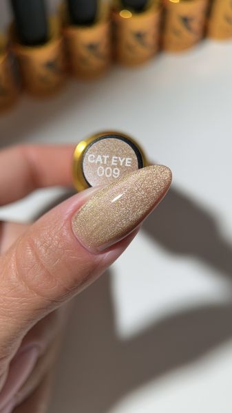 Гел лак Cat Eye 009 -7мл